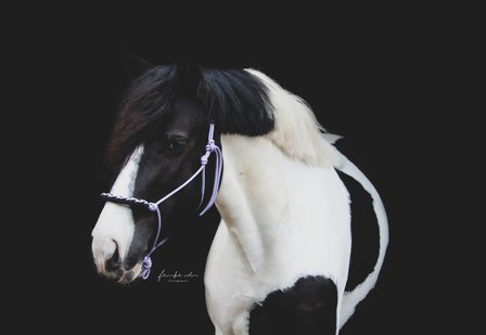 Touwhalster Upbraid