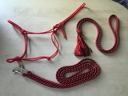 SET! Basic touwhalster+teugels+neckrope