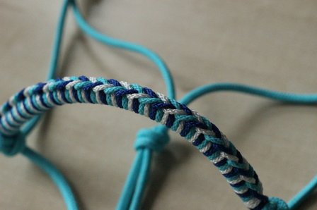 Touwhalster Charlot Braid