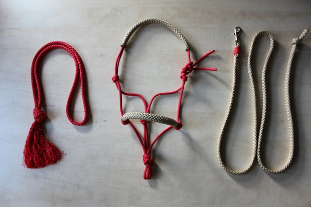 SET! Touwhalster+halstertouw+neckrope