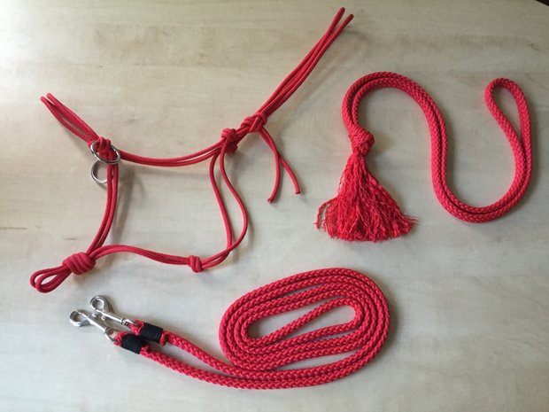 SET! Touwhalster+teugels+neckrope 